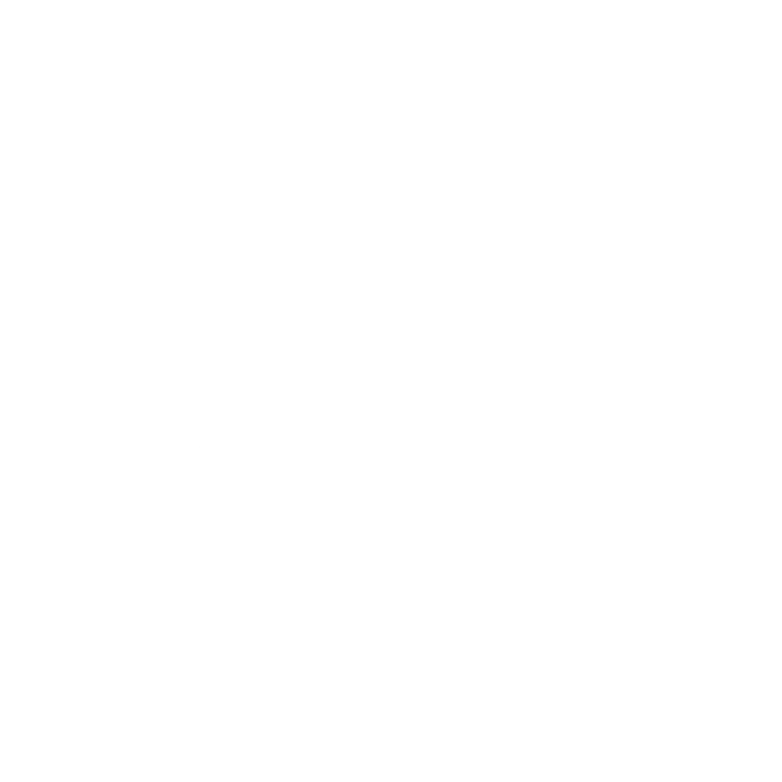 Anylink – We connect anything